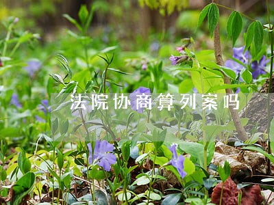 法院协商算列案吗 法院协商算列案吗