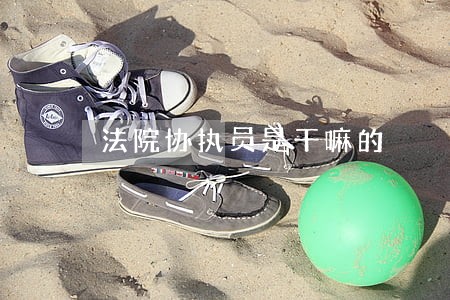 法院协执员是干嘛的 法院协执员是干嘛的
