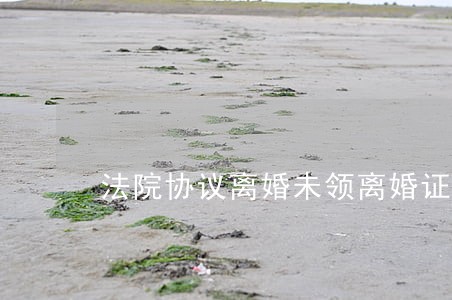 法院协议离婚未领离婚证 法院协议离婚未领离婚证