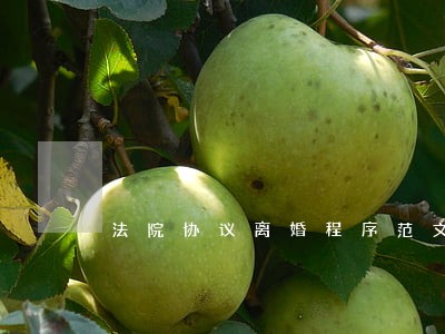 法院协议离婚程序范文