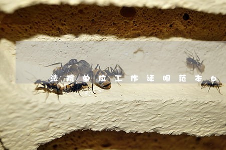 法院单位工作证明范本6拓展阅读 法院单位工作证明范本6拓展阅读