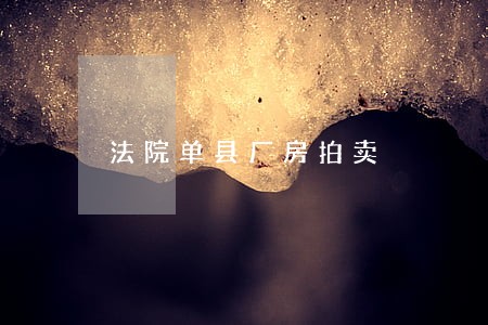 法院单县厂房拍卖 法院单县厂房拍卖