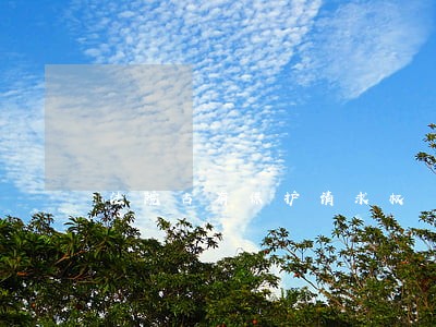 法院占有保护请求权