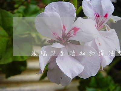 法院卫生清扫和保洁制度 法院卫生清扫和保洁制度