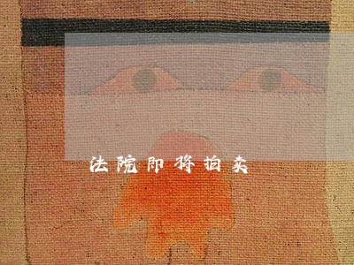 法院即将拍卖 法院即将拍卖