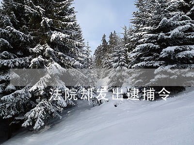 法院却发出逮捕令 法院却发出逮捕令