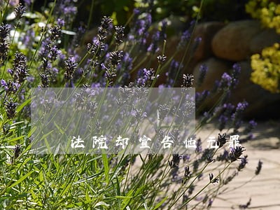 法院却宣告他无罪 法院却宣告他无罪