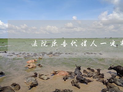 法院原告代理人一定需要律师么