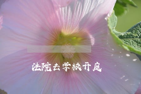 法院去学校开庭 法院去学校开庭