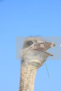 法院去年结案了 法院去年结案了