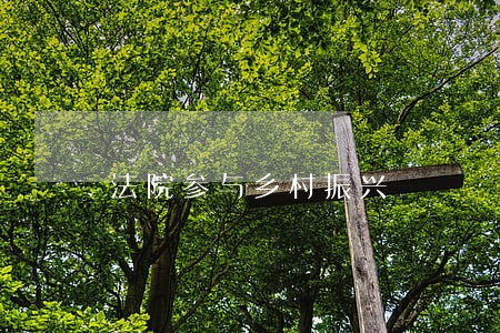 法院参与乡村振兴