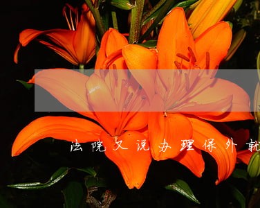 法院又说办理保外就医是啥意思啊 法院又说办理保外就医是啥意思啊