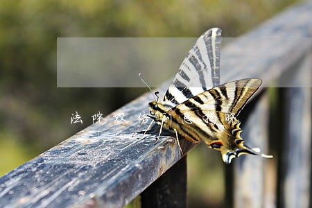 法院双倍利息揭晓