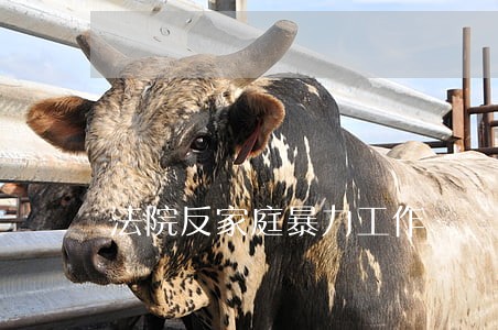 法院反家庭暴力工作 法院反家庭暴力工作