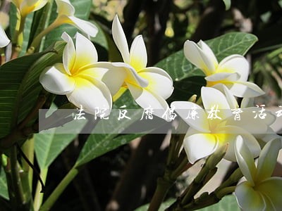 法院反腐倡廉教育活动总结 法院反腐倡廉教育活动总结