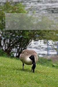 法院发传票去了会不会拘留