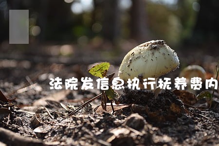 法院发信息执行抚养费内容 法院发信息执行抚养费内容