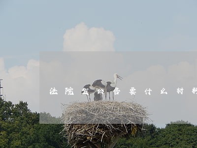 法院发公告要什么材料 法院发公告要什么材料