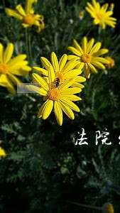 法院发布声明严肃追责 法院发布声明严肃追责