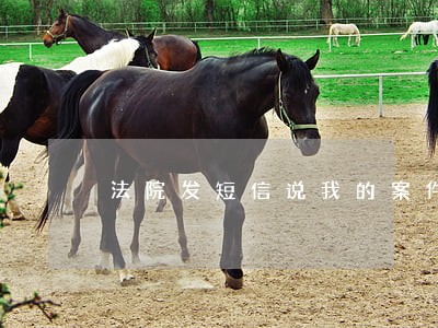 法院发短信说我的案件已受理 法院发短信说我的案件已受理