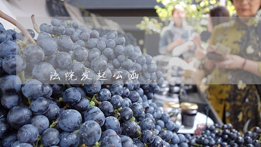 法院发起公函 法院发起公函