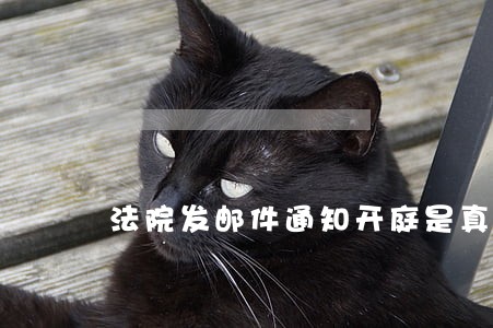 法院发邮件通知开庭是真的吗 法院发邮件通知开庭是真的吗