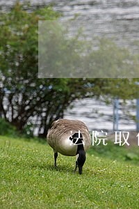 法院取保候审交保证金 法院取保候审交保证金