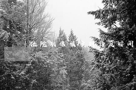 法院取保候审到开庭时间是多久 法院取保候审到开庭时间是多久