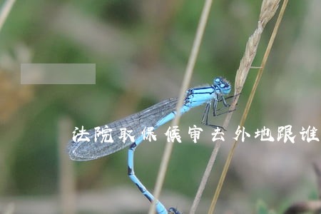 法院取保候审去外地跟谁报备