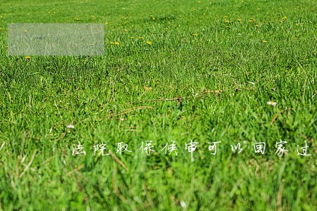 法院取保候审可以回家过年吗 法院取保候审可以回家过年吗