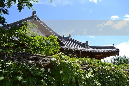 法院取保候审程序是怎么样的 法院取保候审程序是怎么样的