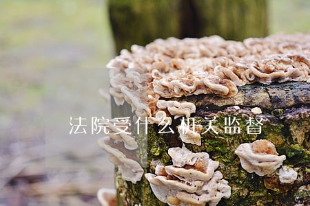 法院受什么机关监督 法院受什么机关监督