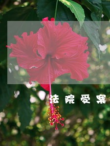 法院受案立案时间规定
