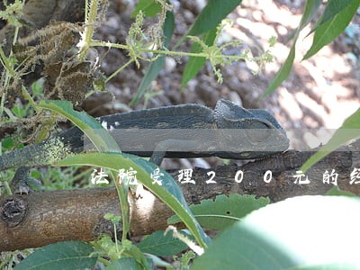 法院受理200元的经济纠纷吗 法院受理200元的经济纠纷吗