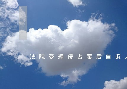法院受理侵占案后自诉人撤诉