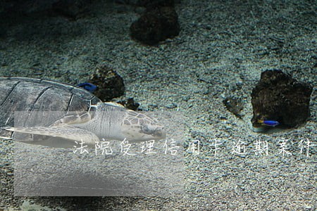 法院受理信用卡逾期案件流程中国 法院受理信用卡逾期案件流程中国