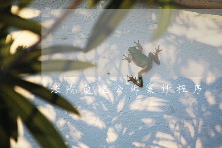 法院受理公诉案件程序