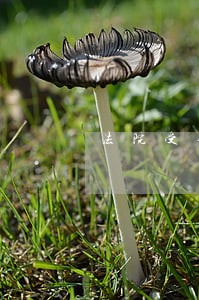 法院受理其21亿国家赔偿申请 法院受理其21亿国家赔偿申请
