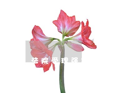 法院受理强制执行后的操作程序 法院受理强制执行后的操作程序