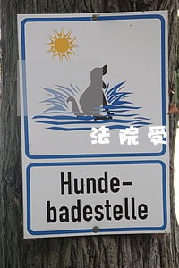 法院受理房产证加名字