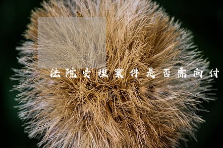 法院受理案件是否需向付费