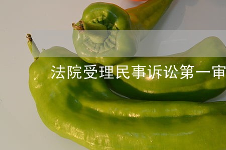 法院受理民事诉讼第一审标的额 法院受理民事诉讼第一审标的额