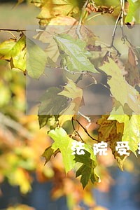 法院受理没有产权证房子的纠纷吗 法院受理没有产权证房子的纠纷吗