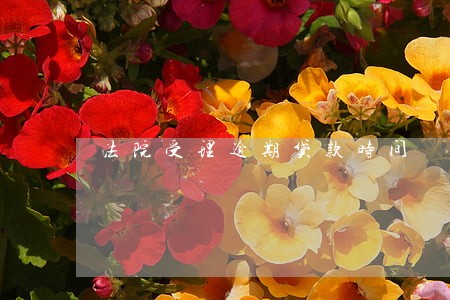 法院受理逾期贷款时间 法院受理逾期贷款时间