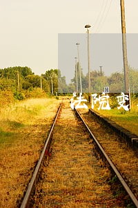法院变卖不出去怎么处理 法院变卖不出去怎么处理
