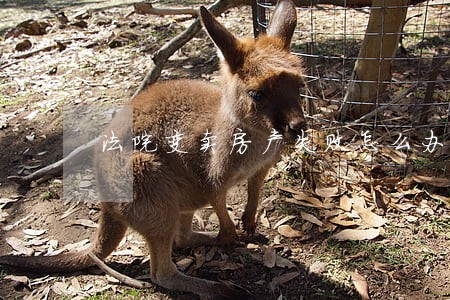 法院变卖房产失败怎么办 法院变卖房产失败怎么办