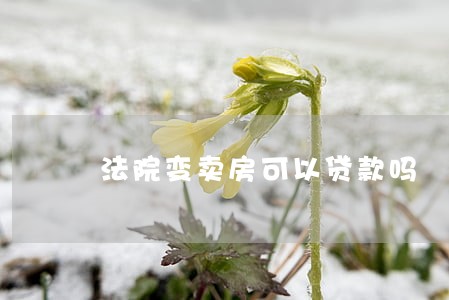 法院变卖房可以贷款吗 法院变卖房可以贷款吗