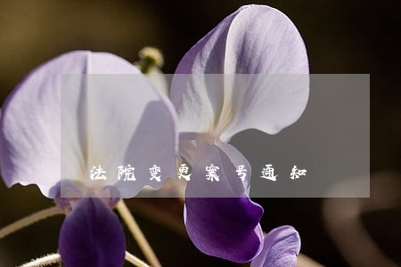 法院变更案号通知 法院变更案号通知