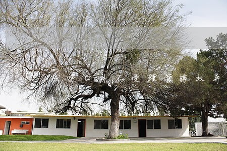 法院口头不受理管辖权异议 法院口头不受理管辖权异议