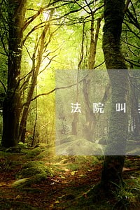 法院叫我去处理 法院叫我去处理